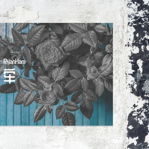 亡羊（prod.by BECUMUSIC）