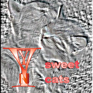 sweet cats