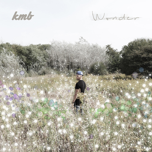 Wonder