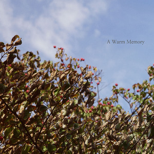 따뜻한 기억