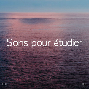 Klang des Ozeans zum Studieren