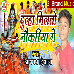 Dulha Milto Naukariya Ge