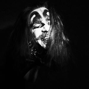 Xxculpation Of The Clown Frog (Dendropsophus sarayacuensis)