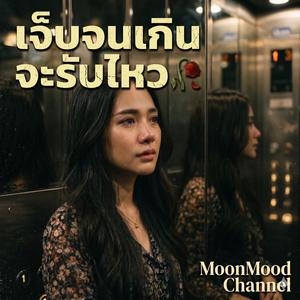 เพลง ไร้ความหวัง