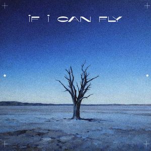 IF I CAN FLY