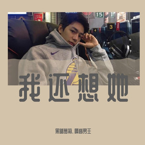 我还想她（DJ版）