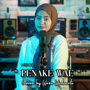 Penake Wae