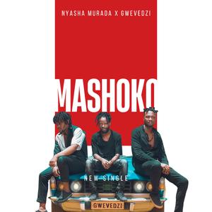 Mashoko