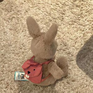 借一夜的玫瑰 许一世的心碎