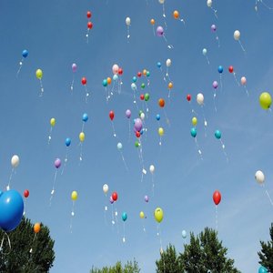Celebrate Life