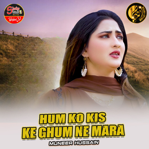 Hum Ko Kis Ke Ghum Ne Mara (1)