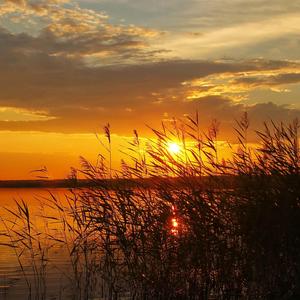 당신보다 나은 곳