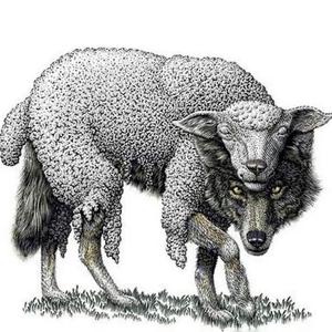 Sheepskin
