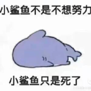 网疫(Prod EVOMUSIC)