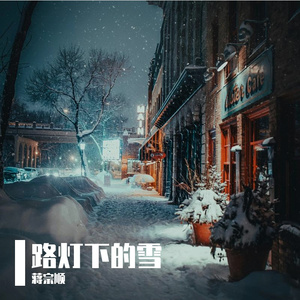 路灯下的雪