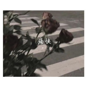 Aioz-董唧唧/Aioz-痛快（林一 remix）