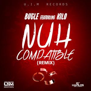 No Compatible (Remix (Radio Edit))