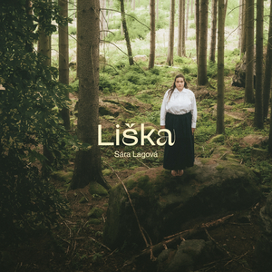 Liška