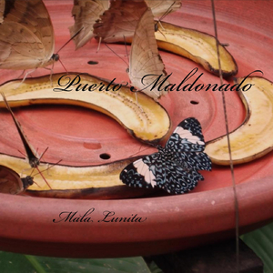 Se Venden Fruta Aqui