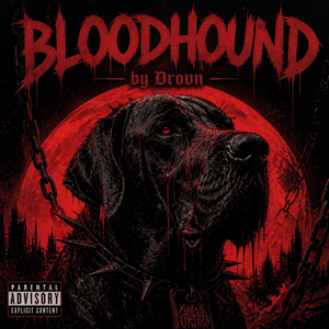 Bloodhound