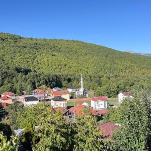 Greshnica ime