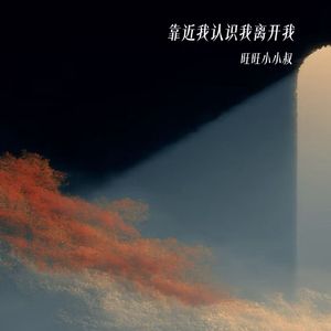 旺旺小小叔-靠近我认识我离开我
