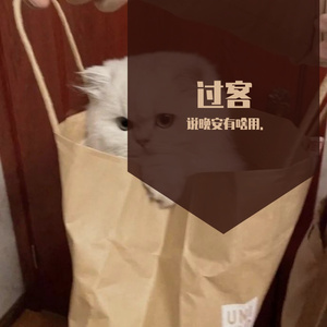 醒着醉