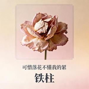 可惜落花不懂我的累