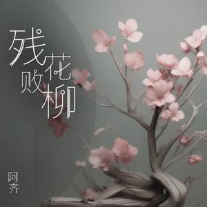残花败柳