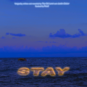 STAY (Remix)