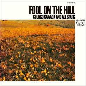 フール・オン・ザ・ヒル