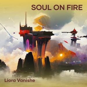 Soul On Fire