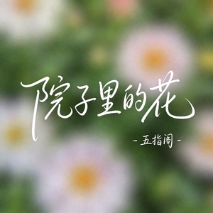 院子里的花（抖音热播版）