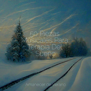 Deslizamientos Armoniosos de Eufonía