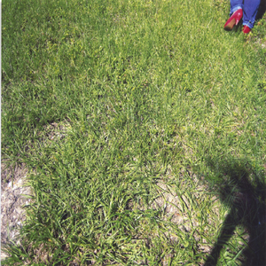 Talk Back Tremblin Lips