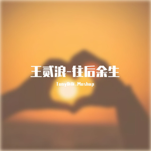 王贰浪-王贰浪-Firelite-往后余生 (Tony拖你_Mashup)（TONY remix）