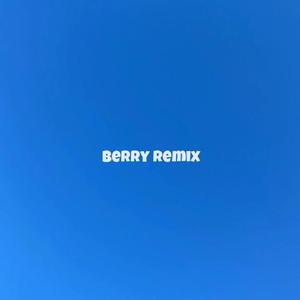 李佳隆 / 李佳隆-berry remix（李佳隆 / 郑权（JACKOCEAN） remix）