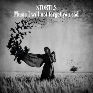 Music I Will Not Forget You Sad
