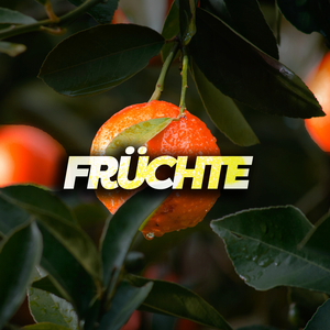 Früchte