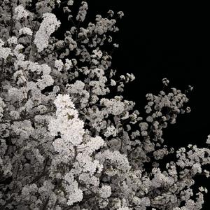 隔着删不掉的昨天