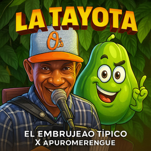 LA TAYOTA