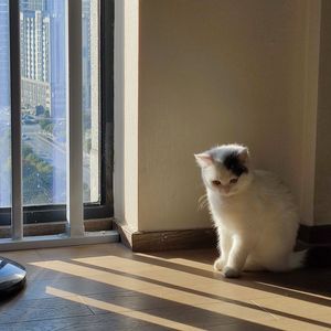 期遇相闻 （翻自梅粮新）