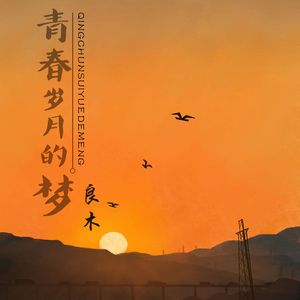 青春岁月的梦 伴奏