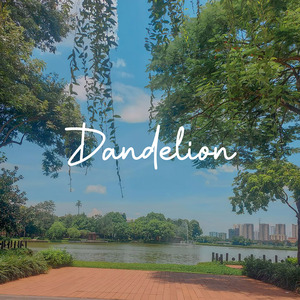 You're My Light (Instrumental)