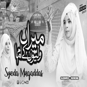 Meeran Waliyon Ke Imam (Lofi-Mix)