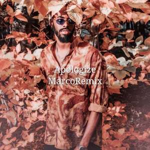 Various Artists-Apologize（DJ Marco remix）