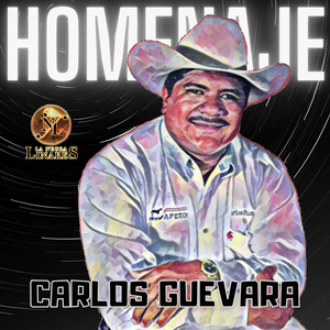 Sin ti no Valgo Nada