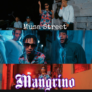 Mangrino