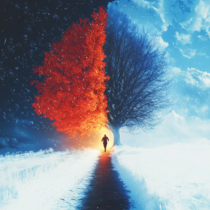 I'll Always Run to You