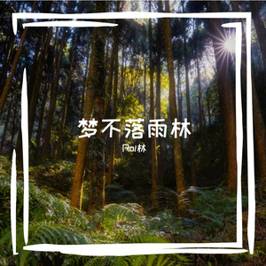 梦不落雨林